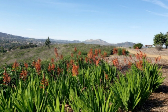 A shot of Conejo Ridge